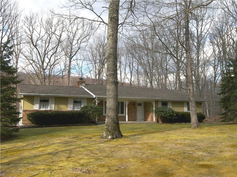 Single Family Home for Sale, ListingId:17981841, location: Blairstown 07825