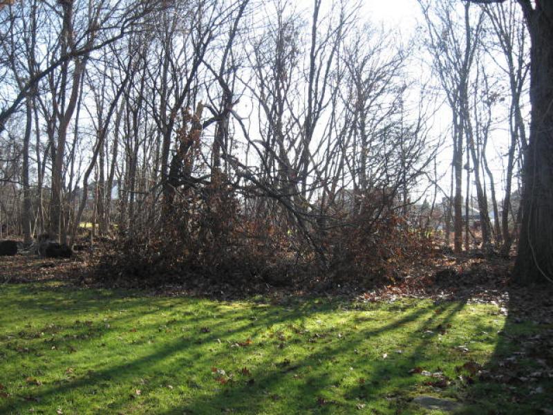 Land for Sale, ListingId:17796897, location: 166 STEVENS AVE Little Falls 07424
