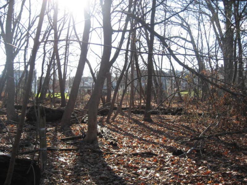 Viewing Image 7