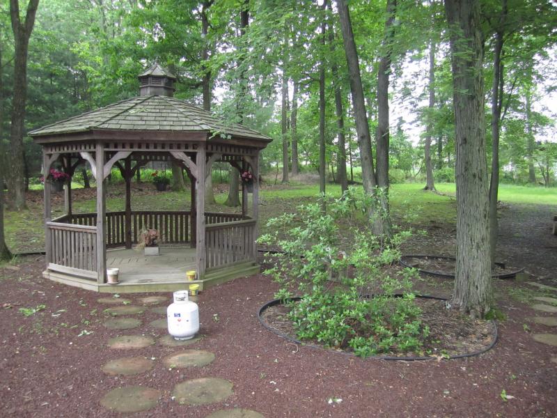 Viewing Image 17