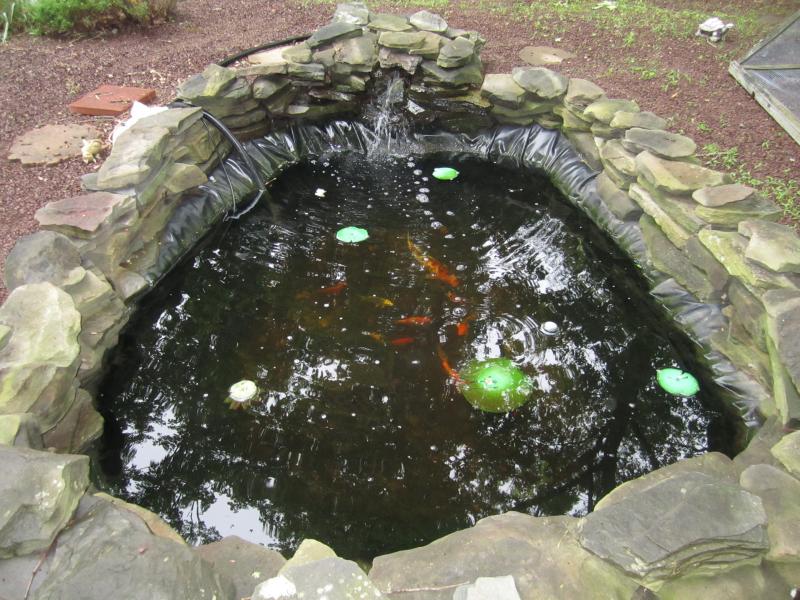 Viewing Image 19