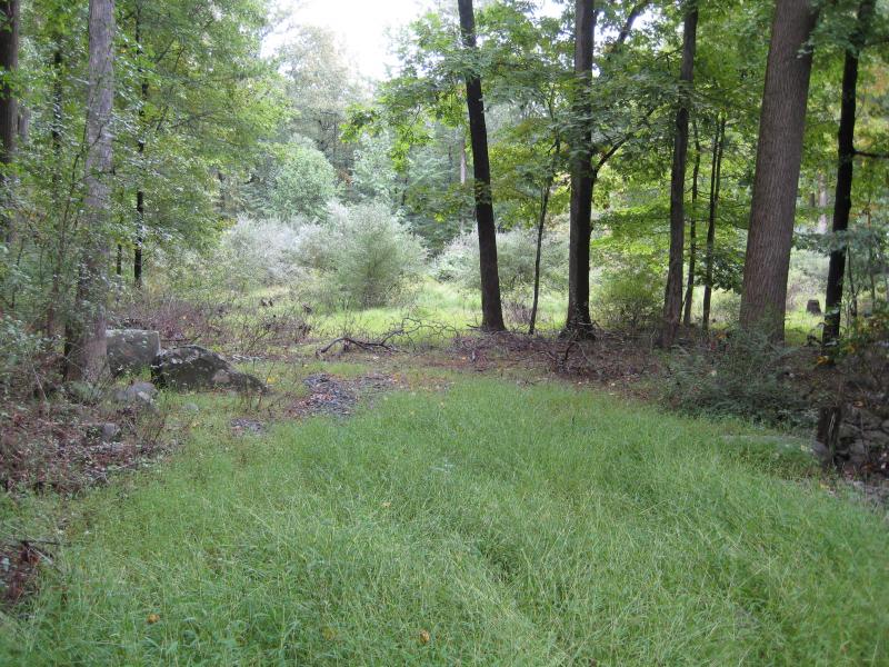 Land for Sale, ListingId:17372106, location: 4 BURD LN Hopewell 08525