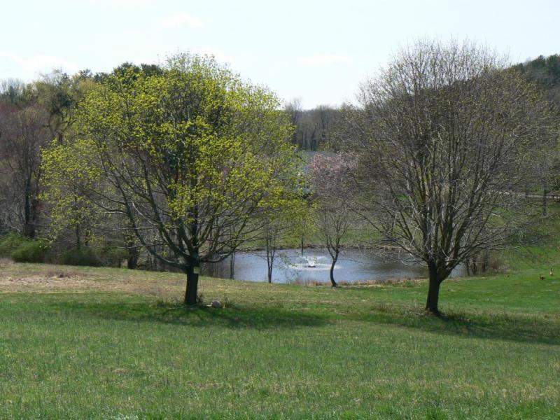 Viewing Image 11