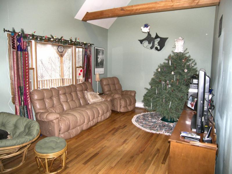 Viewing Image 3