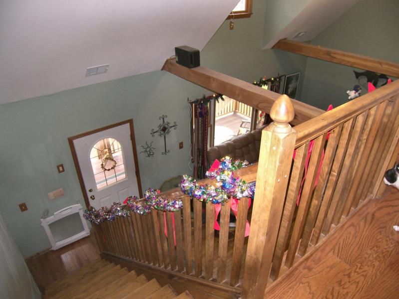 Viewing Image 4