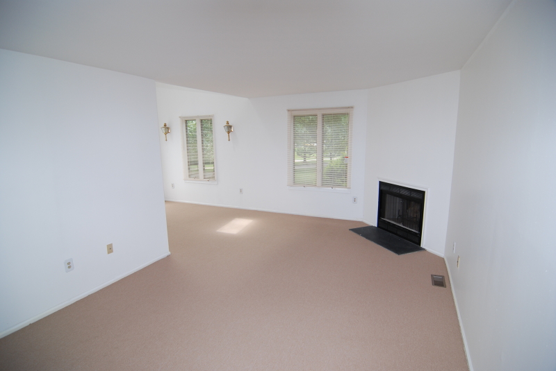 Viewing Image 4