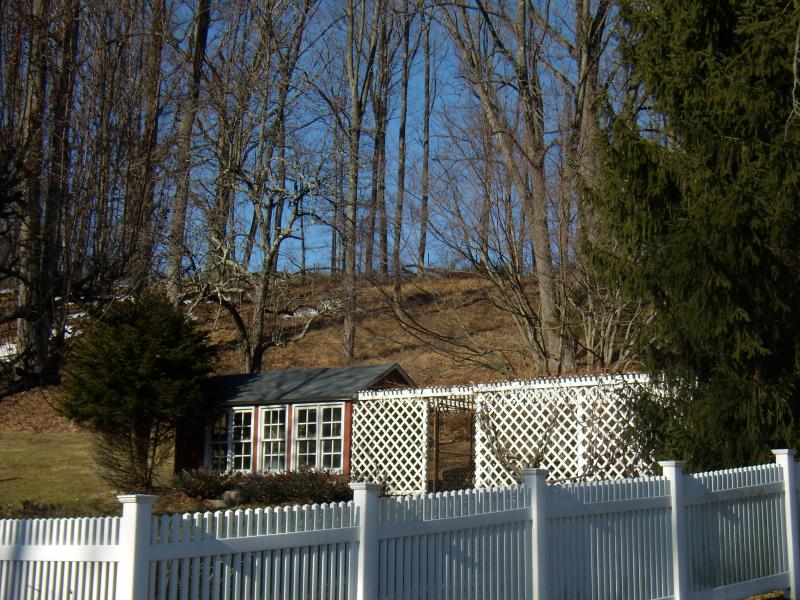 Viewing Image 17