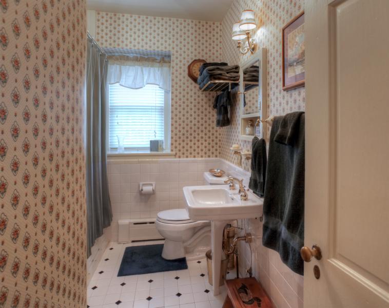 Viewing Image 11