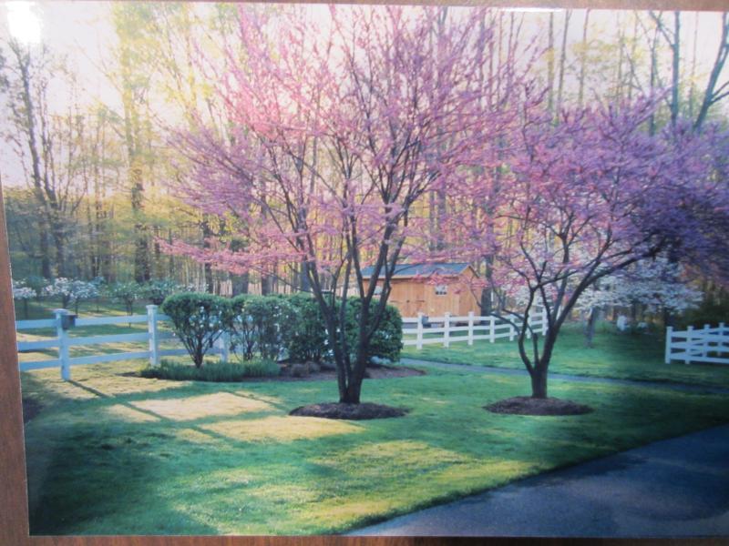 Viewing Image 24