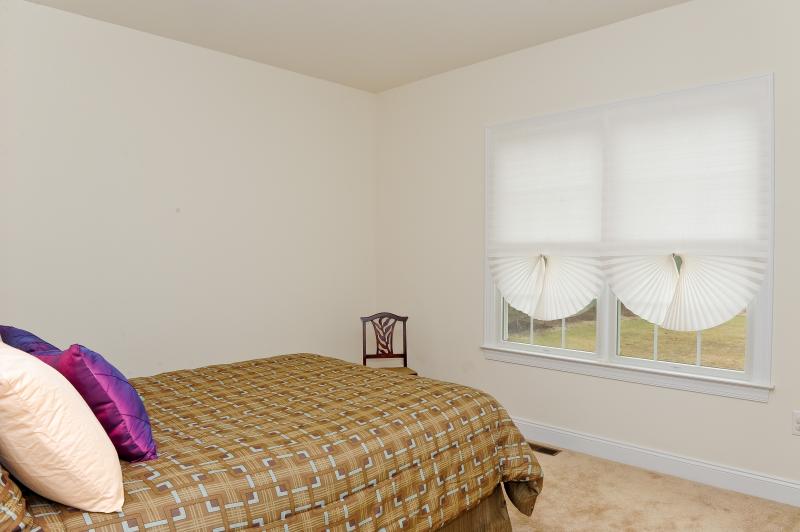 Viewing Image 11