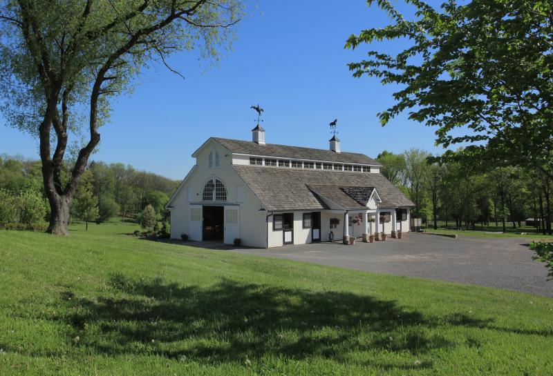 Viewing Image 16