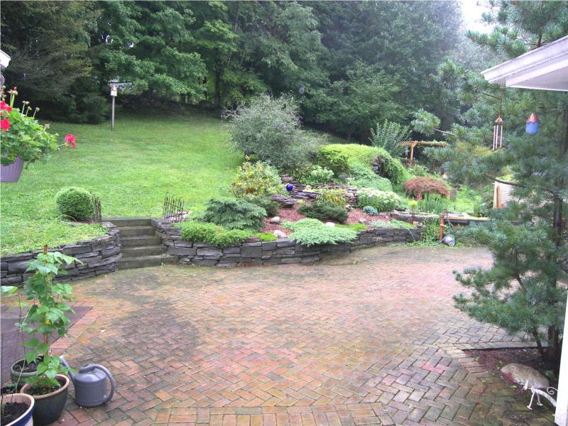 Viewing Image 19