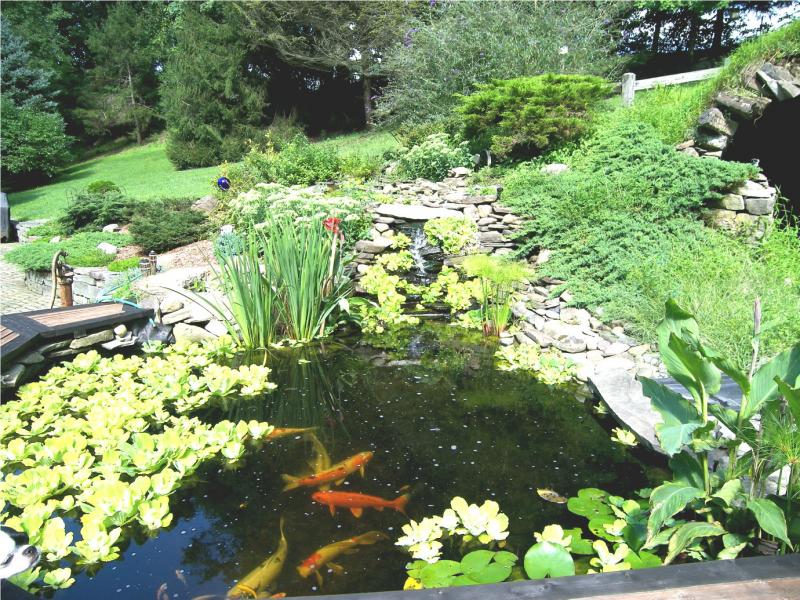 Viewing Image 21