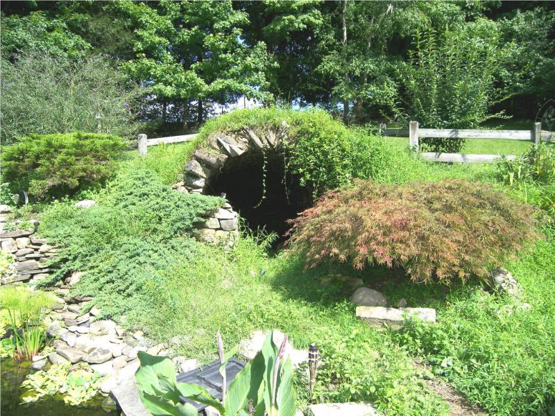 Viewing Image 22