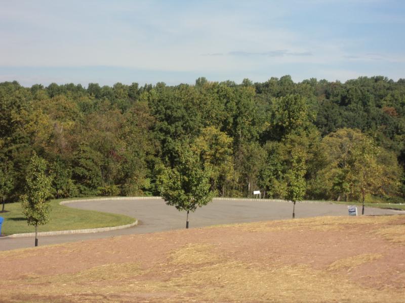 Land for Sale, ListingId:16495072, location: 163 RICK RD Milford 08848