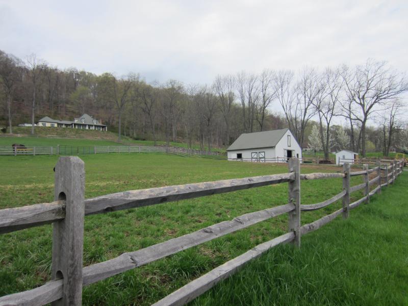 Viewing Image 13