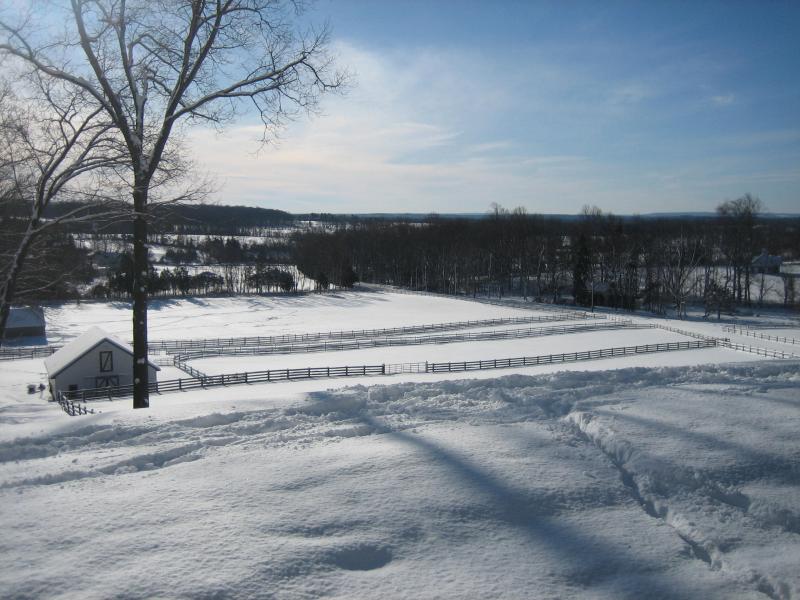 Viewing Image 15