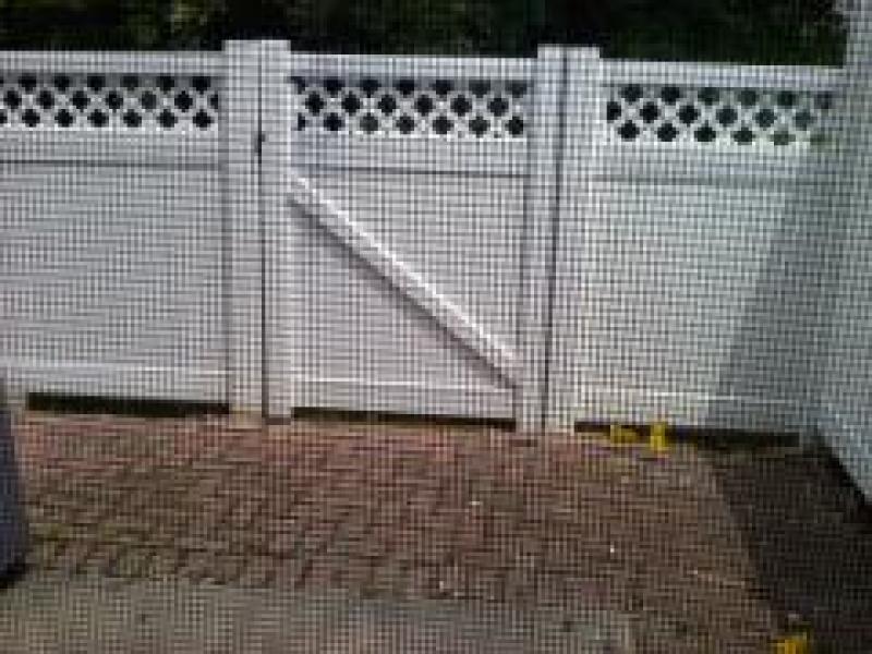 Viewing Image 21