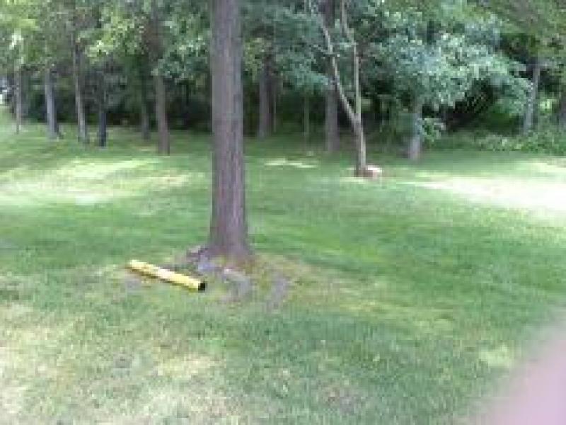 Viewing Image 22