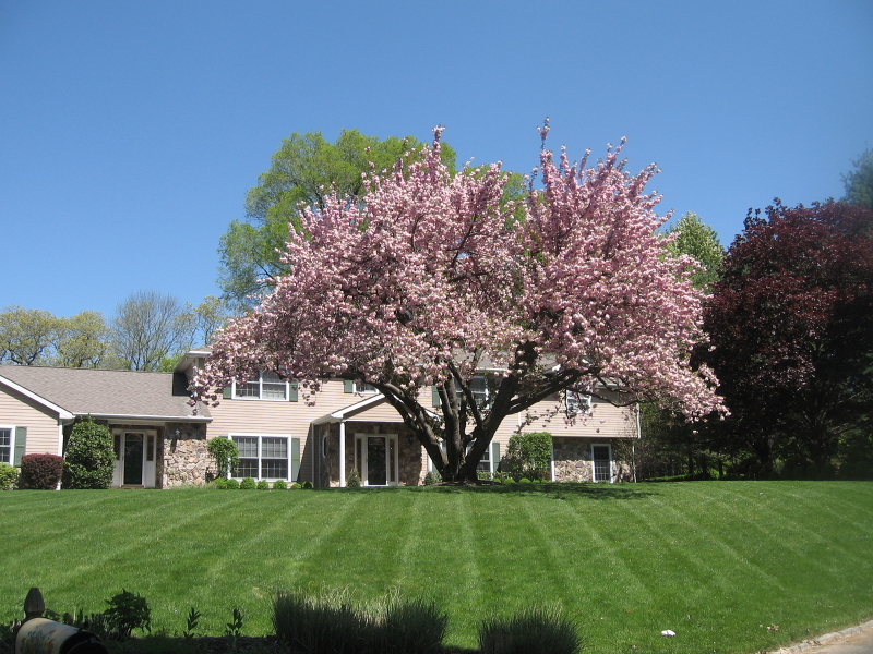 Single Family Home for Sale, ListingId:18839700, location: 15 Knollwood Trl E Mendham 07945