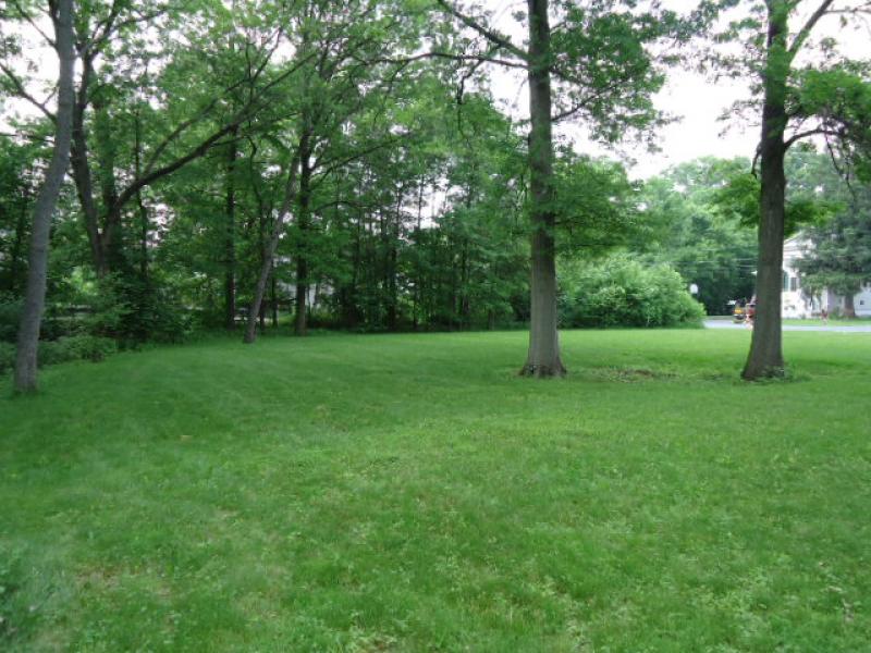 Viewing Image 11