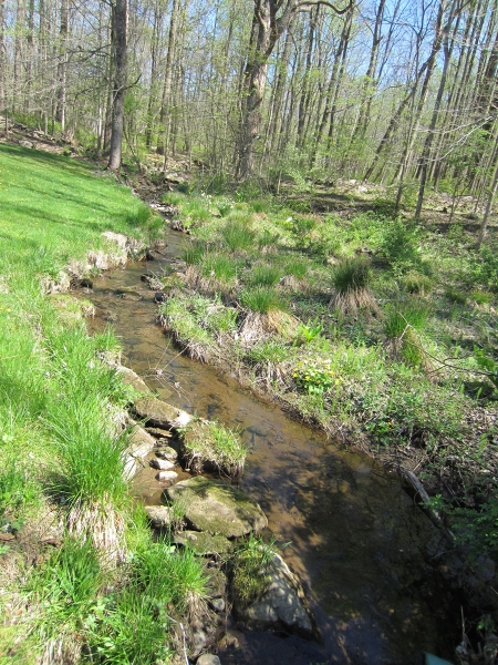 Viewing Image 13