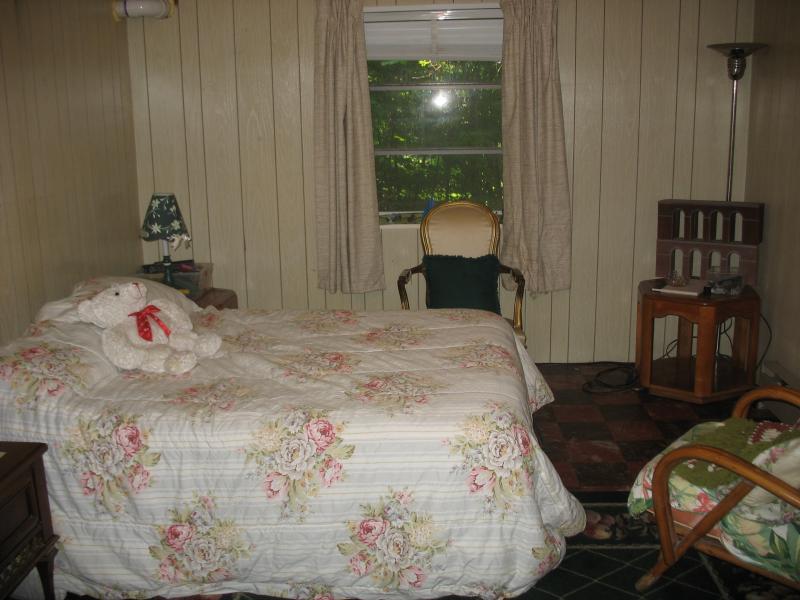 Viewing Image 17