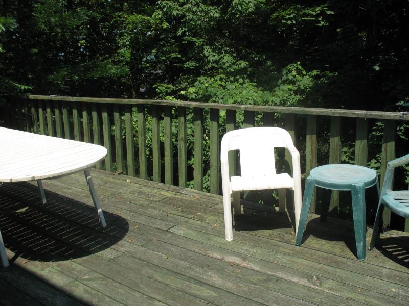 Viewing Image 19