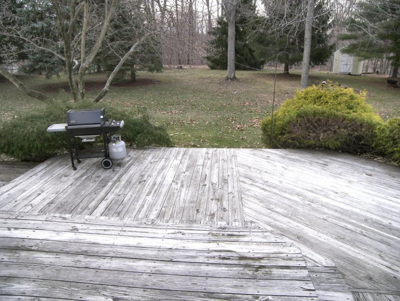 Viewing Image 17