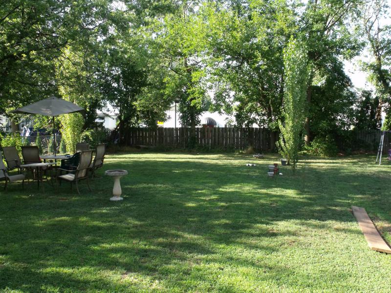 Viewing Image 21
