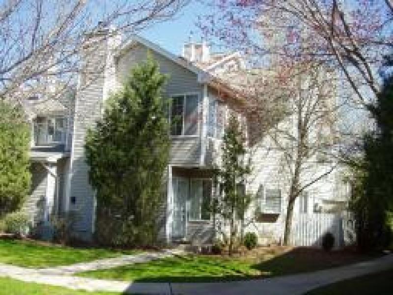 85  Encampment Dr Bedminster Twp., NJ 07921-1831
