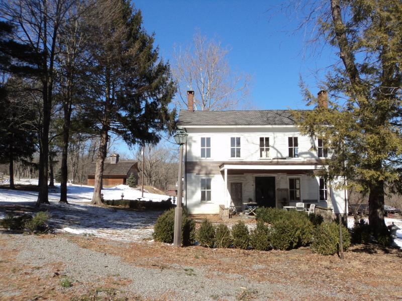 flemingtonnj paula donohue