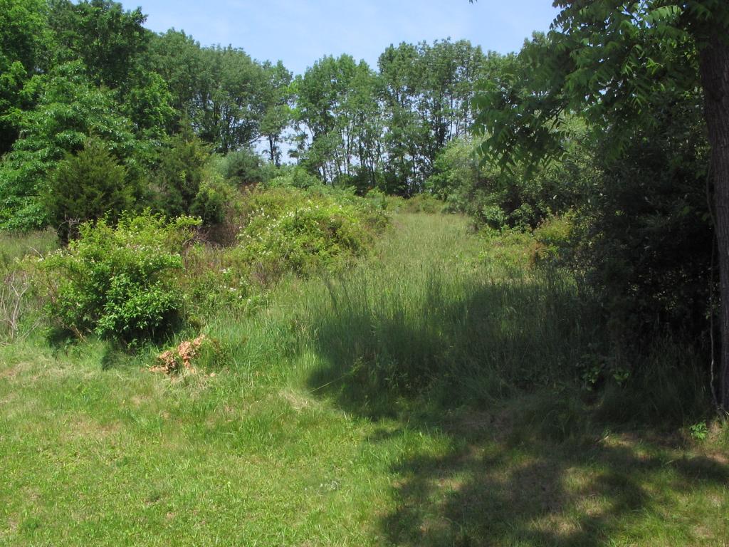 Featured Listing #2655048