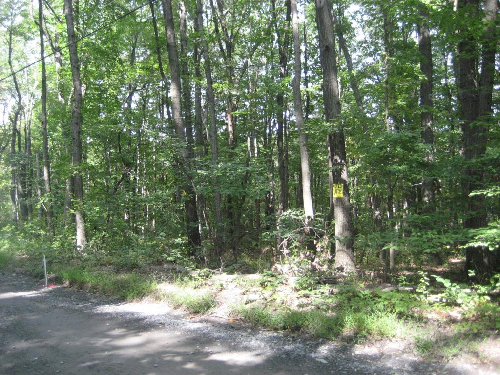 MLS #/Web ID: 2696800