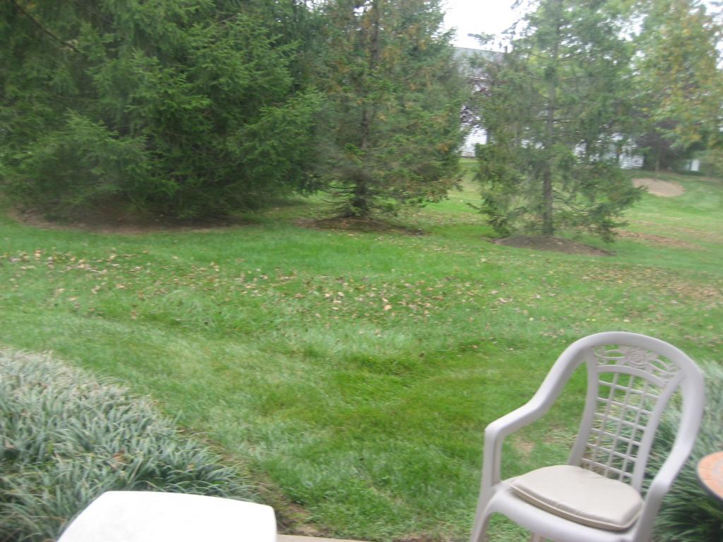 MLS #/Web ID: 2720700