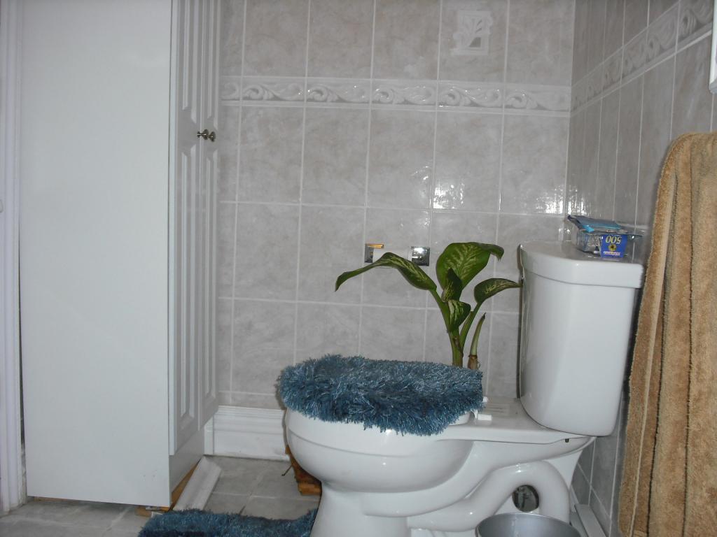 MLS #/Web ID: 2625401