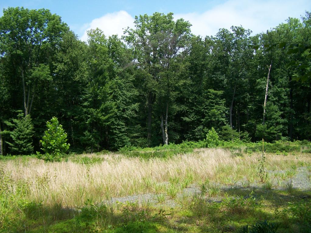 15 GUINEA HOLLOW RD