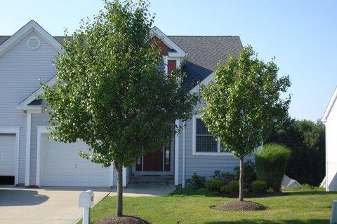 MLS #/Web ID: 2709201