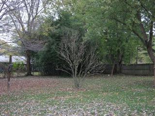 MLS #/Web ID: 2722501