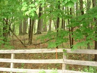 MLS #/Web ID: 2688302