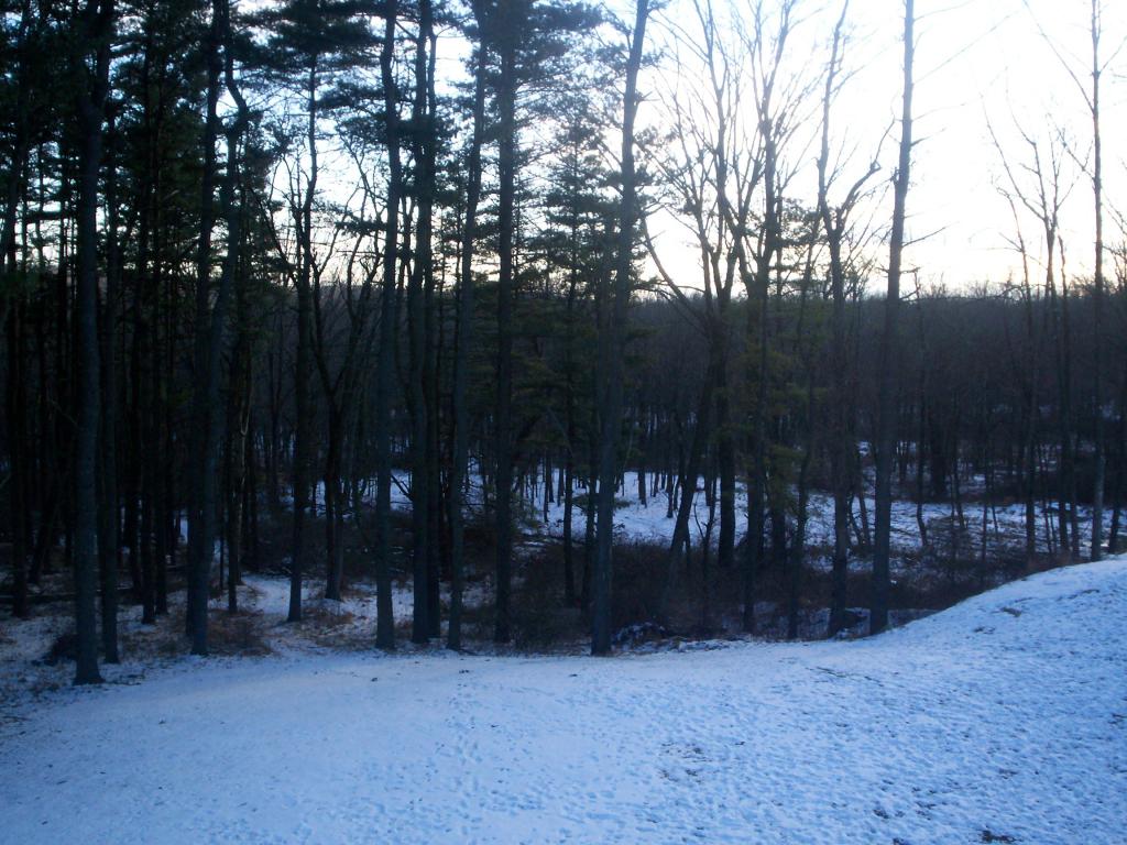 MLS #/Web ID: 2713002