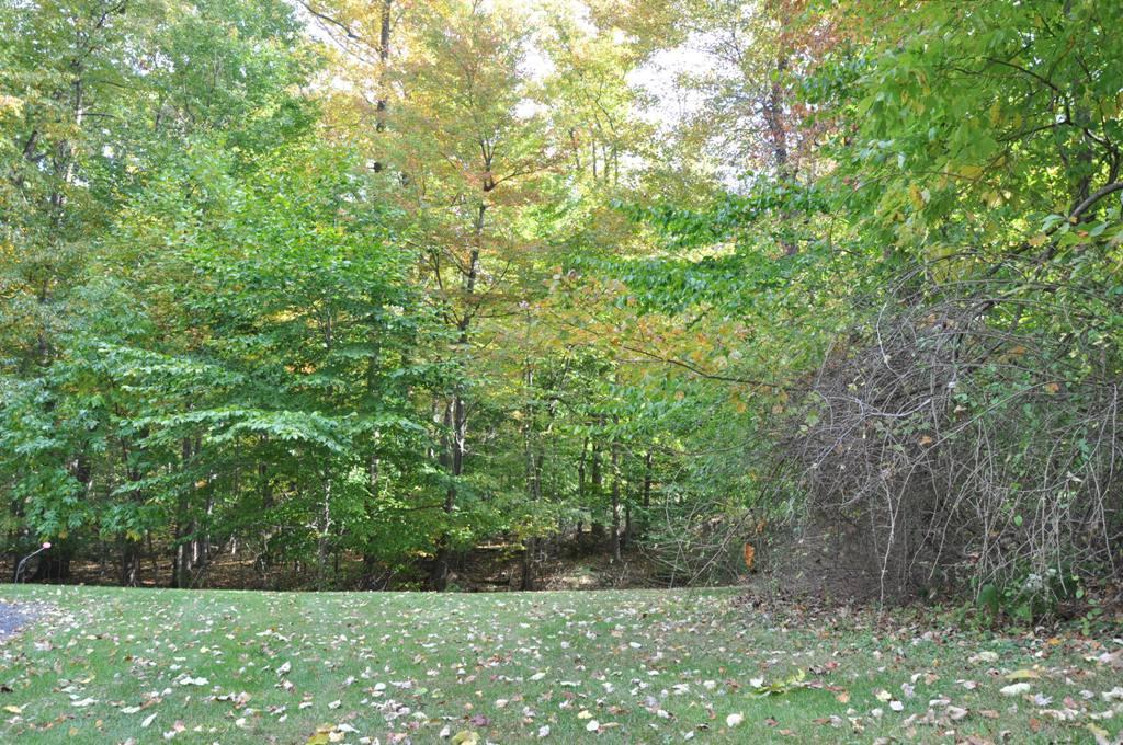 MLS #/Web ID: 2721202