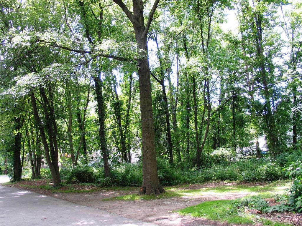 MLS #/Web ID: 2502603