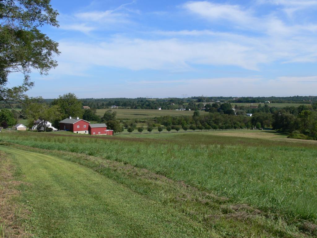 217 SPRING MILLS-LT YK RD