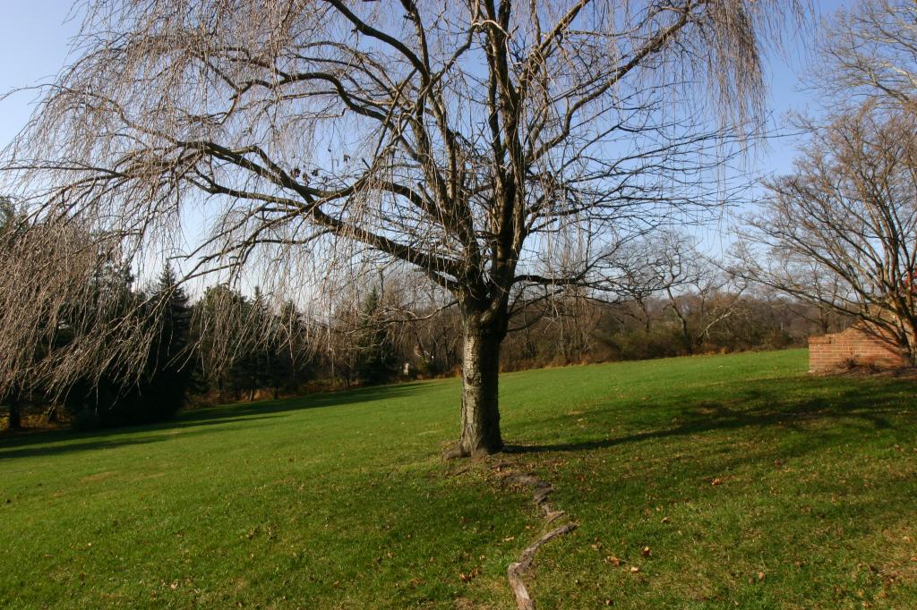 MLS #/Web ID: 2712703