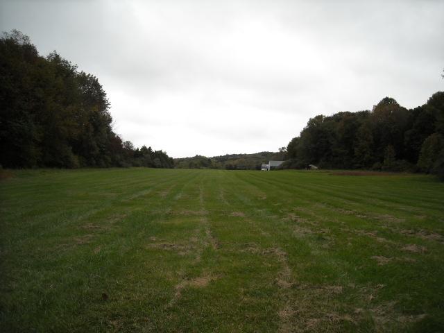 MLS #/Web ID: 2720103