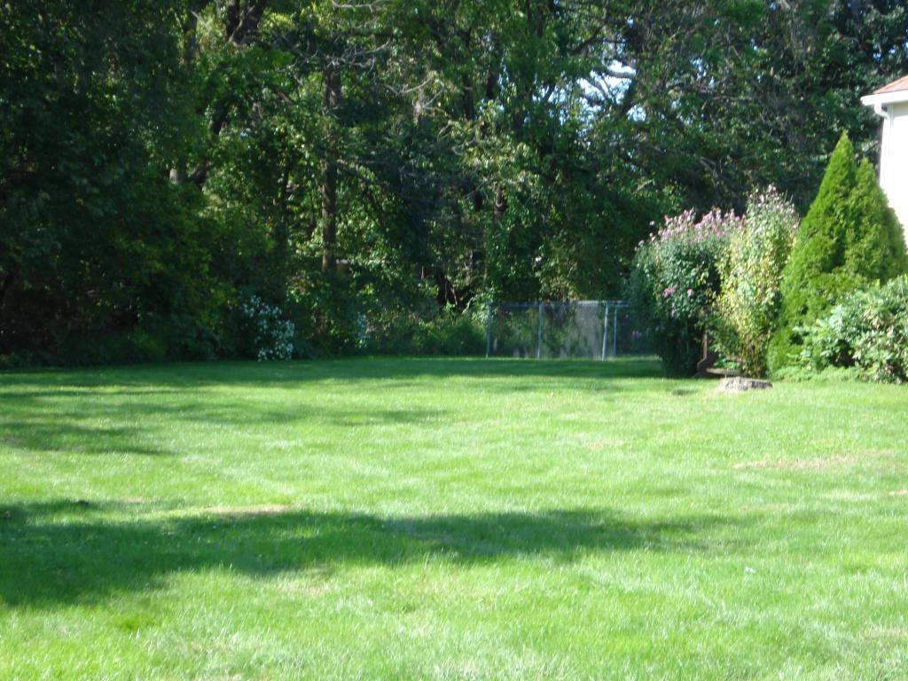 MLS #/Web ID: 2717104