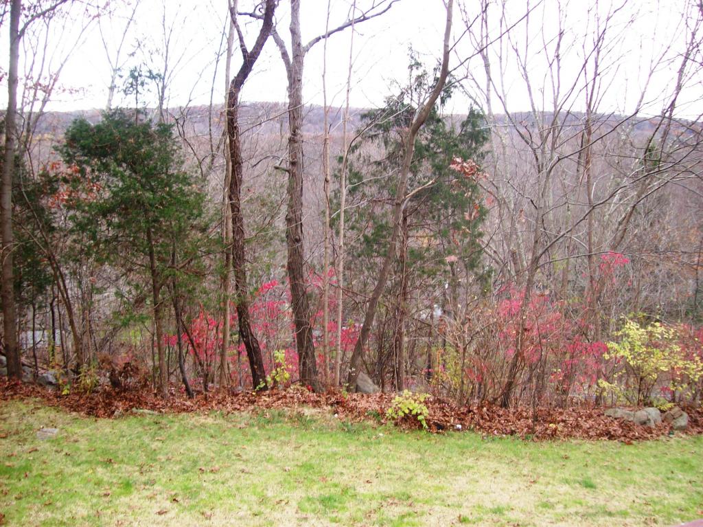 273 LACKAWANNA DR