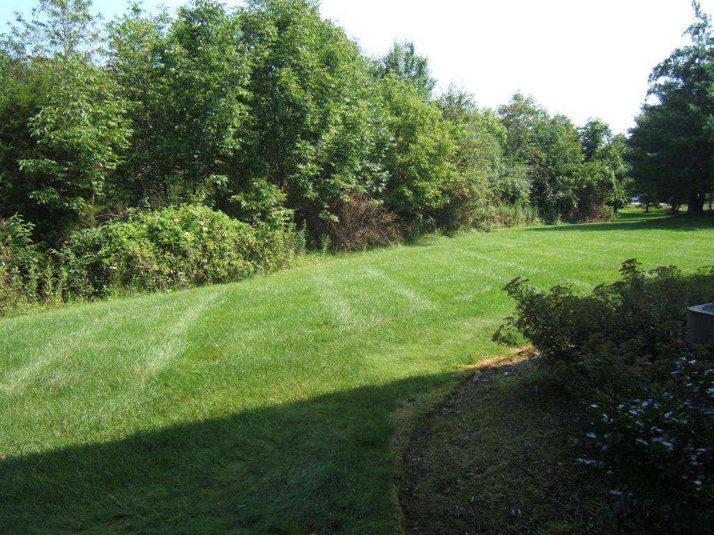 399 FERNCREST CT