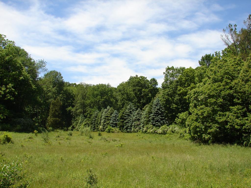 202 Shiloh Road